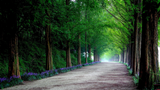 When the Wind Pauses — A Knit Styling Guide for Summer Walks